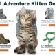 Image for article titled The Very Best April Fools Jokes from 2014, Starring Adventure Kitty!